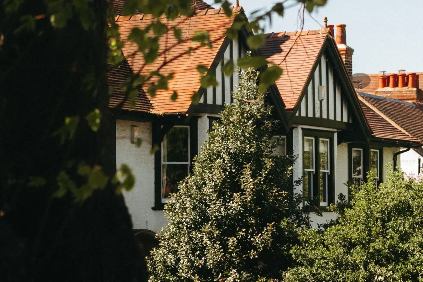 A mock-Tudor house behind trees and a garden hedge